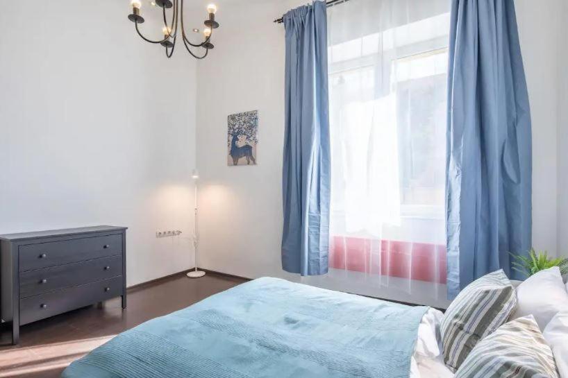 Buday Apartment Close To The Castle بودابست المظهر الخارجي الصورة